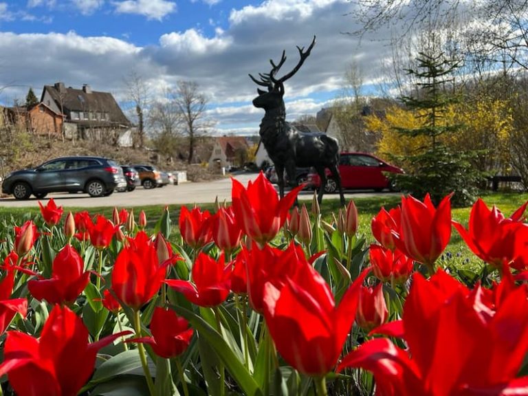 IMG-20230403-WA0034 (1)