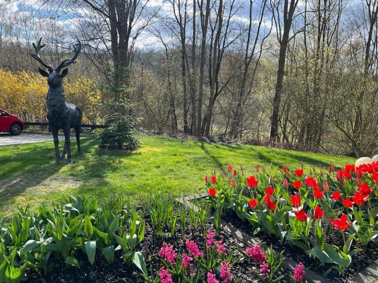 IMG-20230403-WA0035 (1)